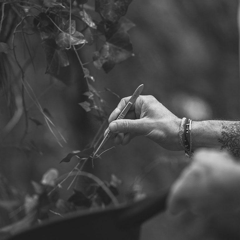 Le Hittau, un restaurant étoilé au rythme de la nature